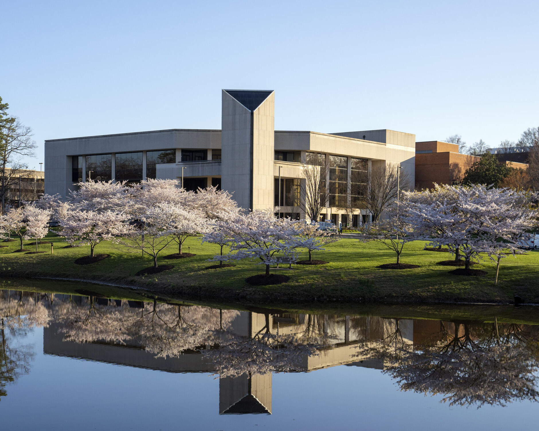 Center for the Arts and cherry blossom trees reflect in the Mason pond on the Fairfax Campus.